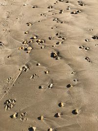 High angle view of footprints on sand at beach