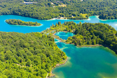 High angle view of lake amidst trees