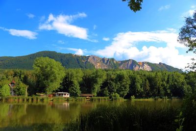 Scenic view of lake by trees against sky