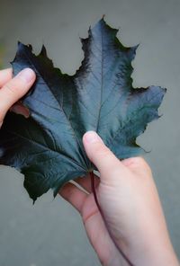 Close-up of hand holding autumn leaf