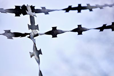 Barbed wire