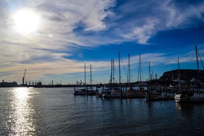 Sailboats moored at harbor against sky