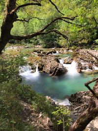 Stream flowing through rocks in forest