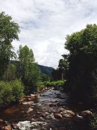 Scenic view of river against cloudy sky