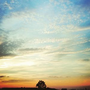 Low angle view of silhouette trees against sky