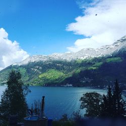 Scenic view of lake by trees against blue sky