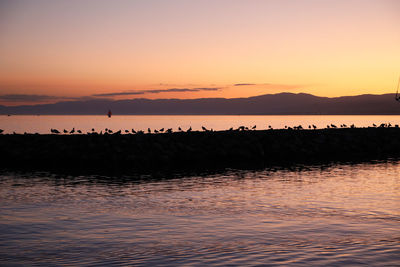 Scenic view of sea against orange sky