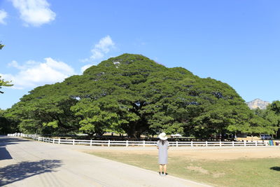 Man on road by trees against blue sky