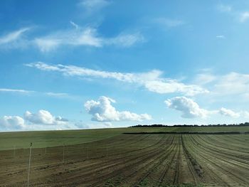 Scenic view of agricultural field against sky