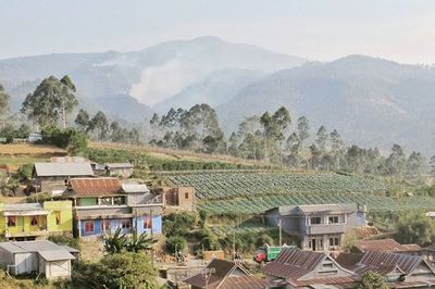 High angle view of houses in town