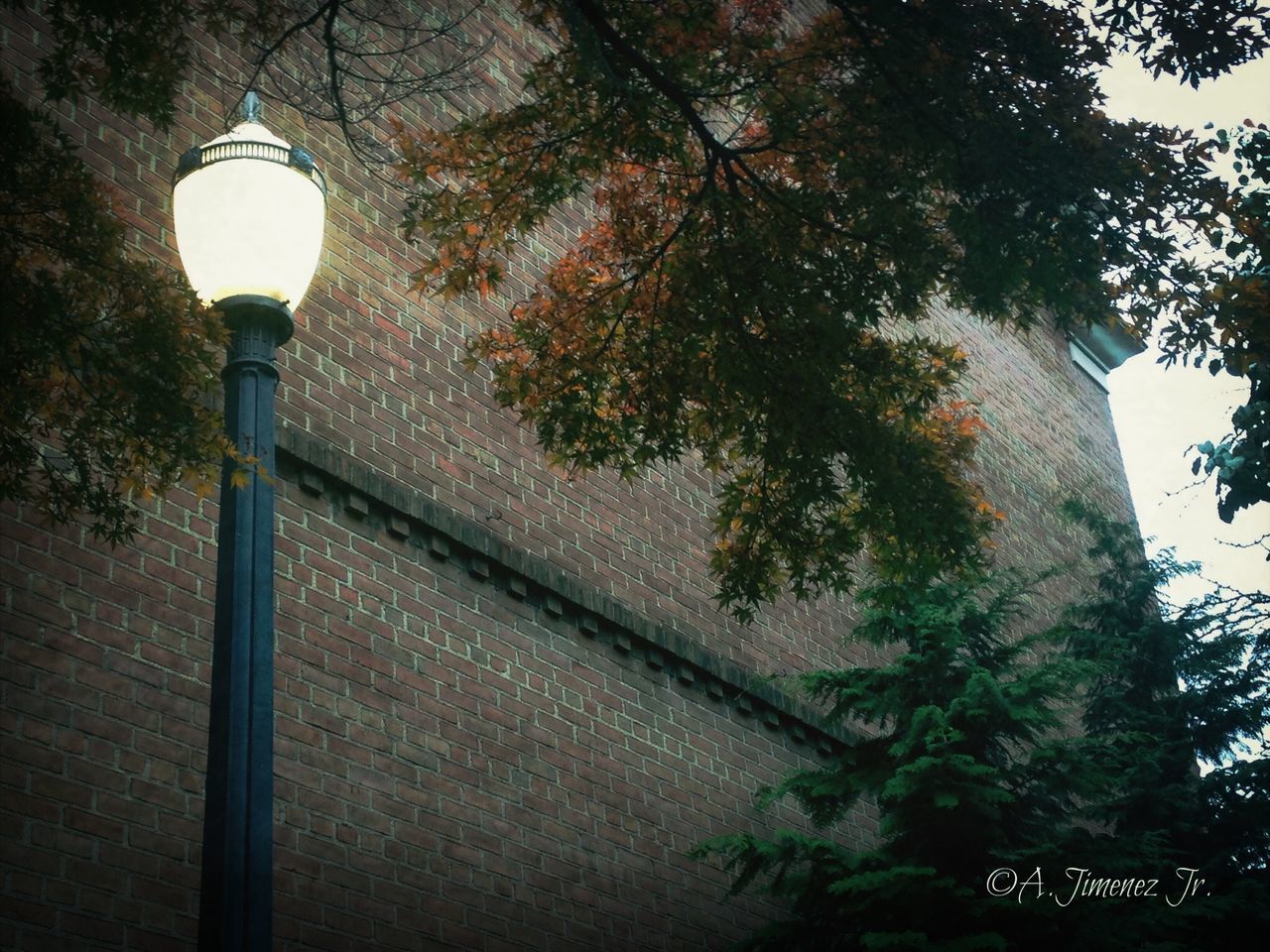 LOW ANGLE VIEW OF STREET LIGHT AGAINST SKY