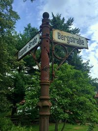 Low angle view of tree against sky
