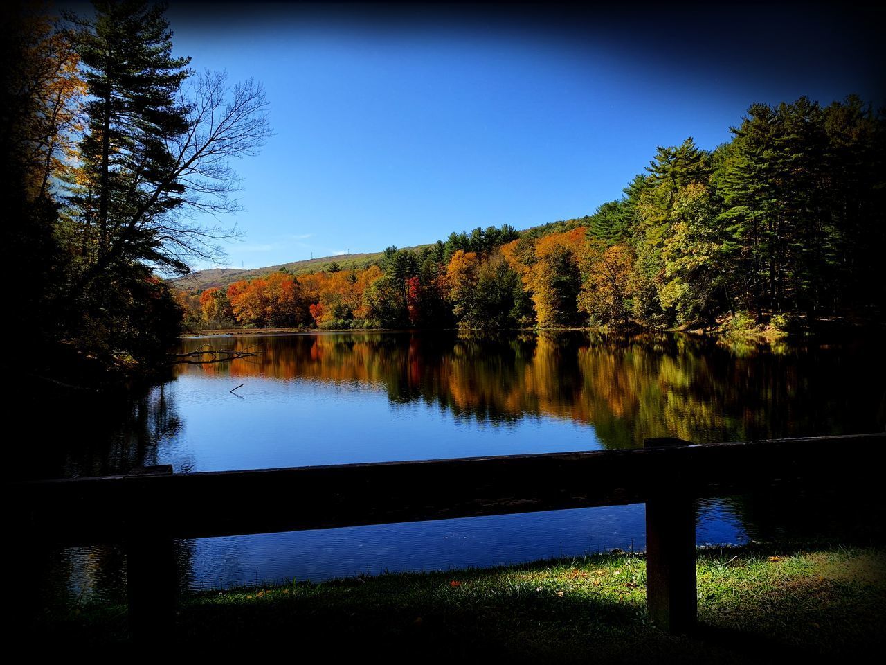 TREES BY LAKE AGAINST SKY DURING AUTUMN