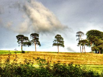 Trees on field against cloudy sky