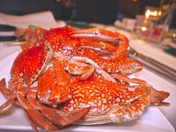 Close up of crab