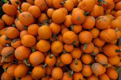 A pile of small orange pumpkings in a wooden box at a farmer's market filling the frame