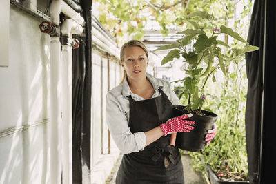 Portrait of gardener carrying potted plant in greenhouse
