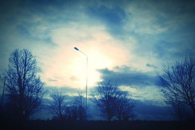 Low angle view of bare tree against sky