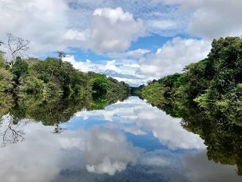 Reflection of trees in water against sky