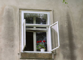 Flower window on building