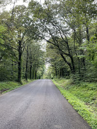 Empty road amidst trees in forest