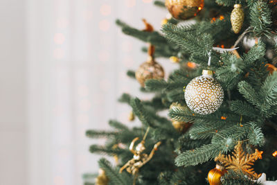 Close-up of christmas tree on plant