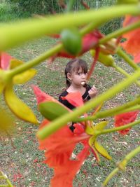 Portrait of boy on plant