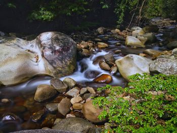 Stream flowing through rocks in forest