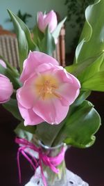Close-up of pink orchids blooming outdoors
