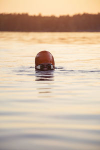 Person swimming at sunset