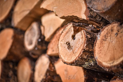 Full frame shot of logs in forest