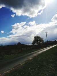 Trees against sky