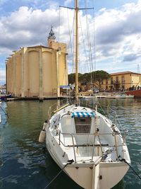 Sailboats moored in marina