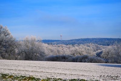 Scenic view of landscape against blue sky