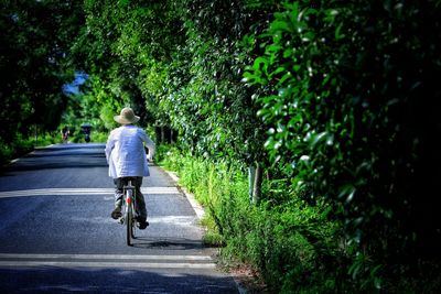 Rear view of woman riding bicycle on road