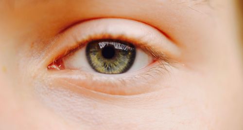 Close-up portrait of woman eye