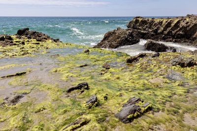 Surface level of rocks on beach against sky