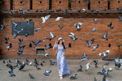 Full length of woman standing with pigeons