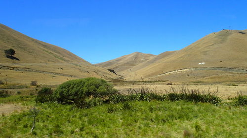 Scenic view of landscape against clear sky