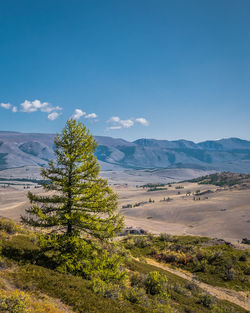 Scenic view of landscape against blue sky