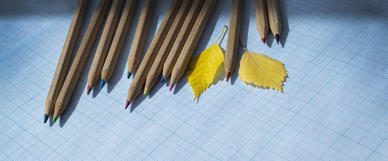 CLOSE-UP OF MULTI COLORED PENCILS ON PAPER