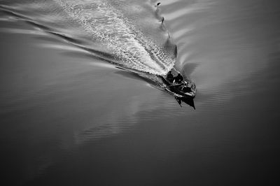 High angle view of duck swimming in lake