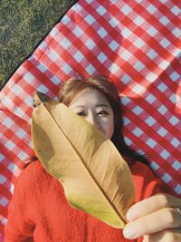 Close-up of woman holding plant