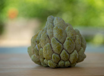 Close-up of fruit on table