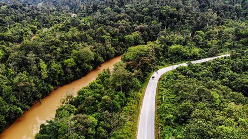 High angle view of road amidst trees in forest