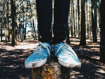 Low section of person standing on tree stump in forest