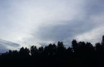 Silhouette of trees against cloudy sky