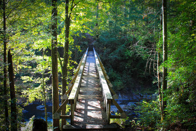 Footbridge amidst trees in forest