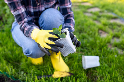 Midsection of person working on plant