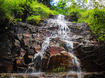 Waterfall in forest